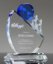 Picture of Team Perspective Crystal Award