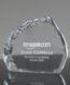 Picture of Optical Crystal Iceberg Award