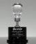 Picture of Brilliant Light Bulb Award