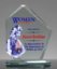 Picture of Crystal Summit Award