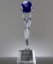 Picture of Achievement World Globe Award