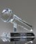 Picture of Crystal Microphone Trophy