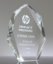 Picture of Faceted Crystal Peak Award