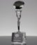 Picture of Black Diamond Crystal Trophy