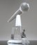 Picture of Key Speaker Crystal Microphone Award