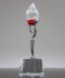 Picture of Ruby Flame Crystal Award