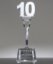 Picture of Service 10 Year Award