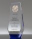 Picture of Distinguished Service Crystal Award