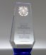 Picture of Distinguished Service Crystal Award