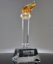 Picture of Crystal Torch Trophy