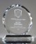 Picture of Crystal Sunflower Circle Award