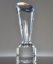 Picture of Eminence Spotlight Crystal Award